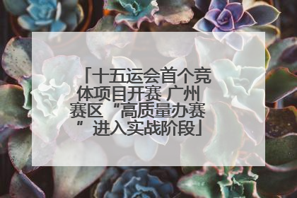 十五运会首个竞体项目开赛 广州赛区“高质量办赛”进入实战阶段