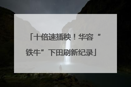 十倍速插秧！华容“铁牛”下田刷新纪录