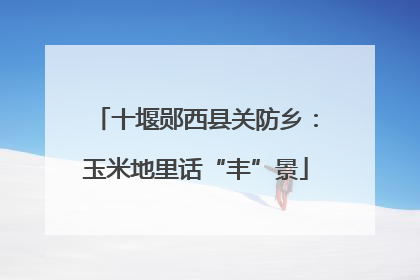 十堰郧西县关防乡：玉米地里话“丰”景