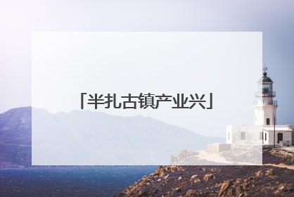 半扎古镇产业兴