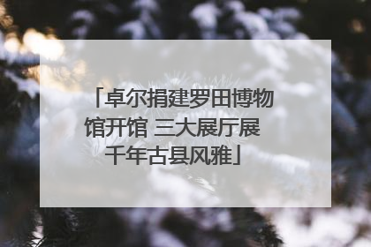 卓尔捐建罗田博物馆开馆 三大展厅展千年古县风雅