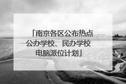 南京各区公布热点公办学校、民办学校电脑派位计划