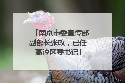 南京市委宣传部副部长张政，已任高淳区委书记
