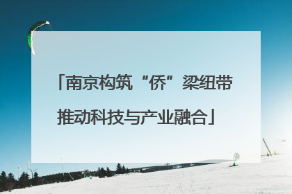 南京构筑“侨”梁纽带推动科技与产业融合