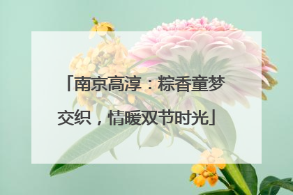 南京高淳：粽香童梦交织，情暖双节时光