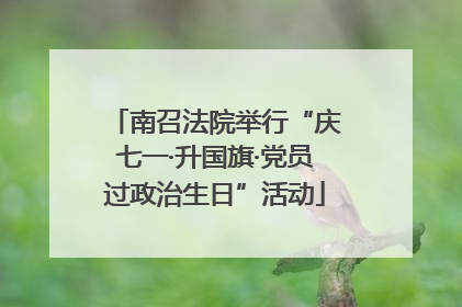 南召法院举行“庆七一·升国旗·党员过政治生日”活动