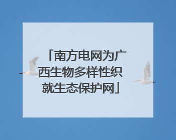 南方电网为广西生物多样性织就生态保护网
