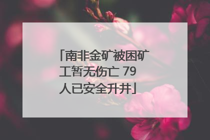 南非金矿被困矿工暂无伤亡 79人已安全升井