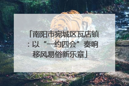 南阳市宛城区瓦店镇：以“一约四会”奏响移风易俗新乐章