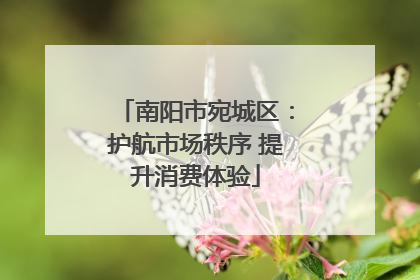 南阳市宛城区：护航市场秩序 提升消费体验