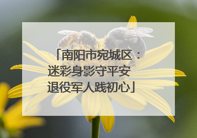 南阳市宛城区：迷彩身影守平安 退役军人践初心
