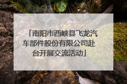 南阳市西峡县飞龙汽车部件股份有限公司赴台开展交流活动