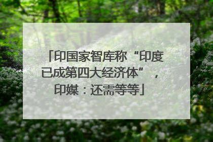 印国家智库称“印度已成第四大经济体”，印媒：还需等等