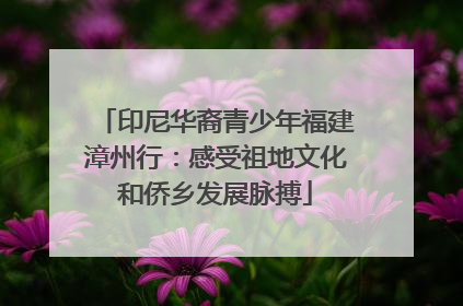 印尼华裔青少年福建漳州行：感受祖地文化和侨乡发展脉搏