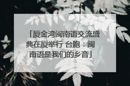 厦金湾闽南语交流盛典在厦举行 台胞：闽南语是我们的乡音