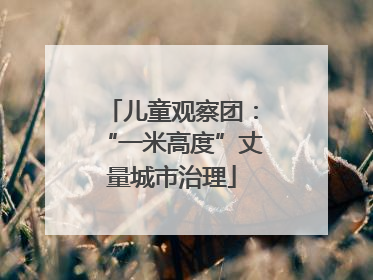 儿童观察团：“一米高度”丈量城市治理