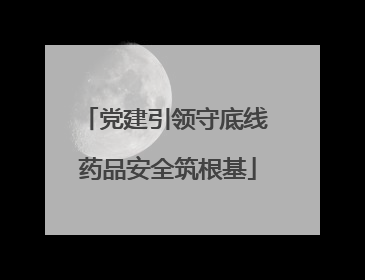 党建引领守底线 药品安全筑根基