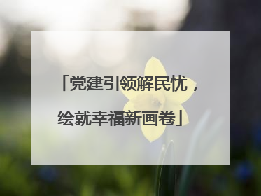 党建引领解民忧，绘就幸福新画卷