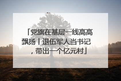 党旗在基层一线高高飘扬丨退伍军人当书记，带出一个亿元村