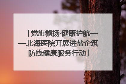 党旗飘扬·健康护航——北海医院开展进盐企筑防线健康服务行动
