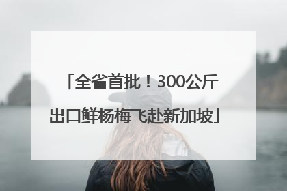 全省首批！300公斤出口鲜杨梅飞赴新加坡