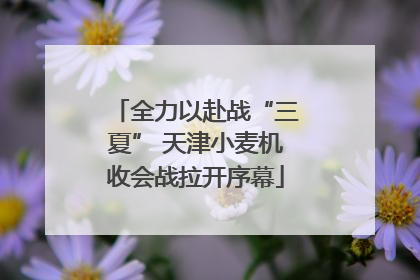 全力以赴战“三夏” 天津小麦机收会战拉开序幕