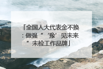 全国人大代表金不换：做强“‘豫’见未来”未检工作品牌