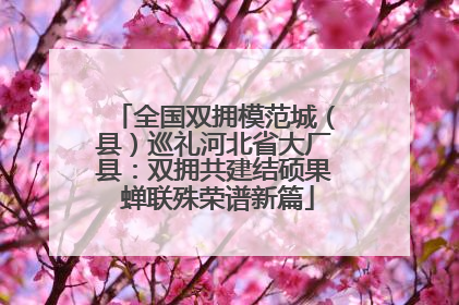 全国双拥模范城（县）巡礼河北省大厂县：双拥共建结硕果 蝉联殊荣谱新篇
