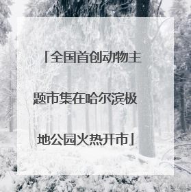 全国首创动物主题市集在哈尔滨极地公园火热开市