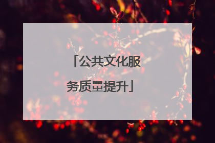 公共文化服务质量提升