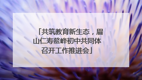 共筑教育新生态，眉山仁寿鳌峰初中共同体召开工作推进会