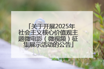 关于开展2025年社会主义核心价值观主题微电影（微视频）征集展示活动的公告