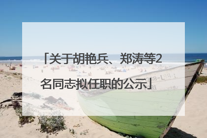 关于胡艳兵、郑涛等2名同志拟任职的公示