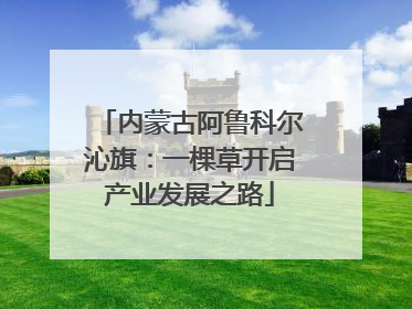 内蒙古阿鲁科尔沁旗：一棵草开启产业发展之路