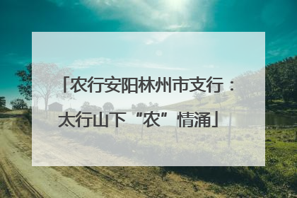 农行安阳林州市支行：太行山下“农”情涌