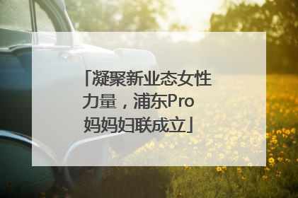 凝聚新业态女性力量，浦东Pro妈妈妇联成立
