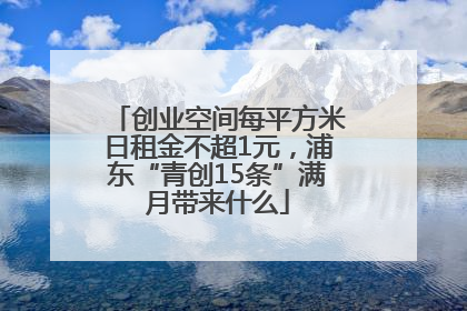 创业空间每平方米日租金不超1元，浦东“青创15条”满月带来什么