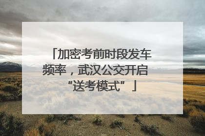 加密考前时段发车频率，武汉公交开启“送考模式”