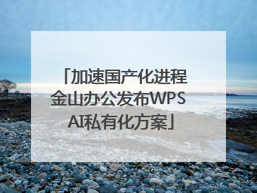 加速国产化进程 金山办公发布WPS AI私有化方案