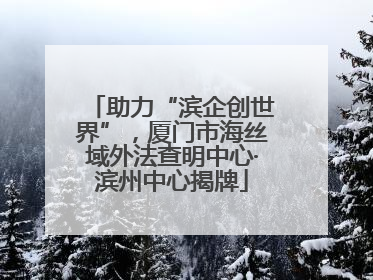 助力“滨企创世界”，厦门市海丝域外法查明中心·滨州中心揭牌