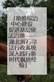 助推综治中心建设 促进基层依法治理——湖北黄石司法行政系统深入践行新时代枫桥经验