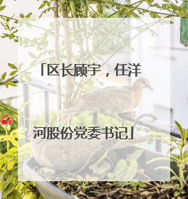 区长顾宇，任洋河股份党委书记