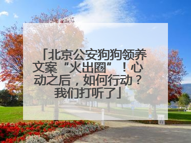 北京公安狗狗领养文案“火出圈”！心动之后，如何行动？我们打听了