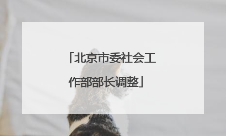 北京市委社会工作部部长调整