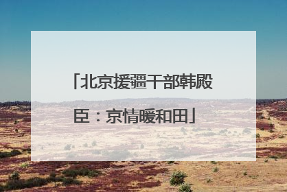 北京援疆干部韩殿臣：京情暖和田
