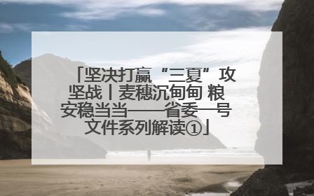 坚决打赢“三夏”攻坚战丨麦穗沉甸甸 粮安稳当当——省委一号文件系列解读①