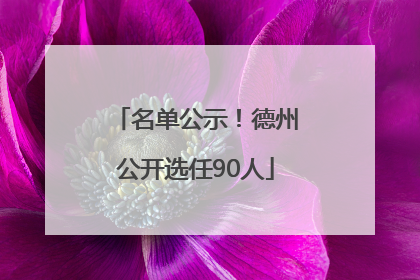 名单公示！德州公开选任90人
