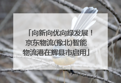向新向优向绿发展！京东物流(豫北)智能物流港在辉县市启用