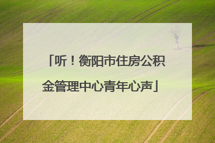 听！衡阳市住房公积金管理中心青年心声