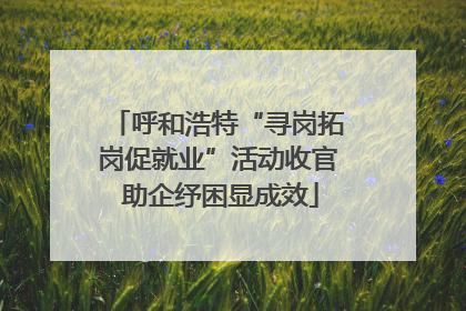 呼和浩特“寻岗拓岗促就业”活动收官 助企纾困显成效